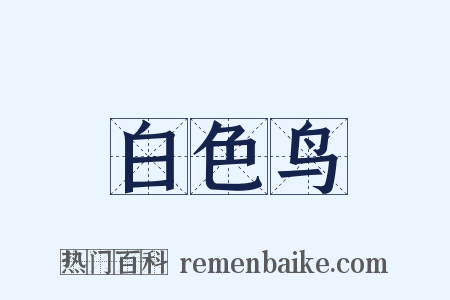 白色鸟是什么意思的图片